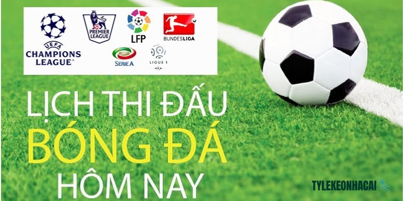 Đông đảo người chơi quan tâm đến lịch thi đấu của hệ thống