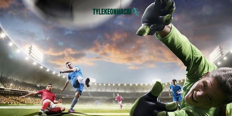 Hệ thống luôn hỗ trợ đắc lực giúp bạn đưa ra tỷ lệ cược tối ưu