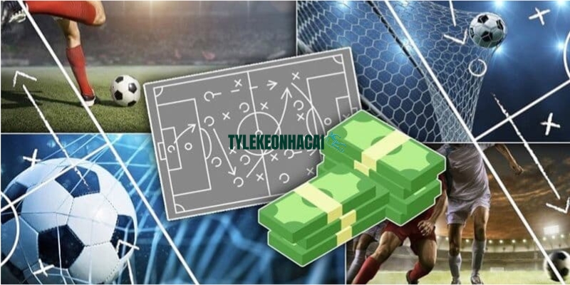 Những kinh nghiệm quan trọng tân thủ cần lưu ý