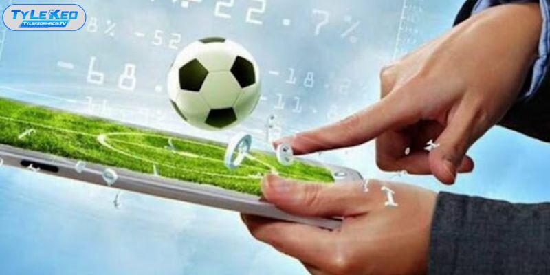 Sơ lược về bảng tỷ lệ và sự biến động tỷ lệ